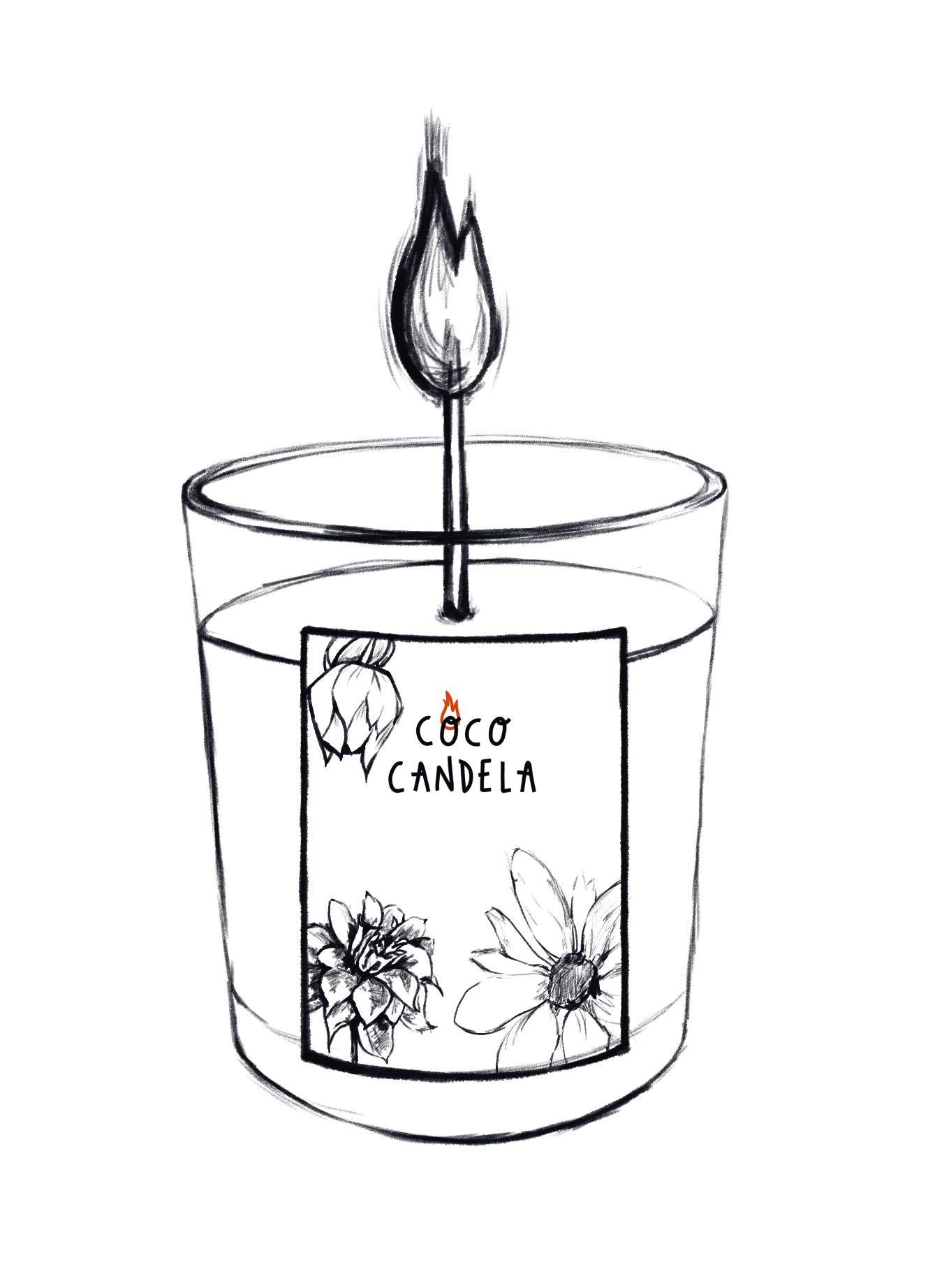 Escudos Botánicos Coco Candela